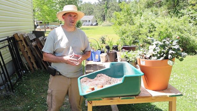 Planting And Up Potting!