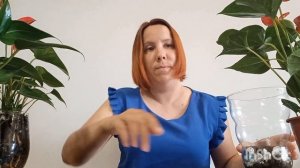 КОГДА следует ПЕРЕСАЖИВАТЬ Антуриум?? ПЕРЕСАДКА в Стекло)).