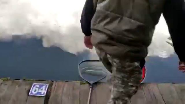 Ловля форели в Ольгово смотреть онлайн