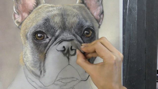 French Bulldog in Soft Pastel - Timelapse смотреть онлайн