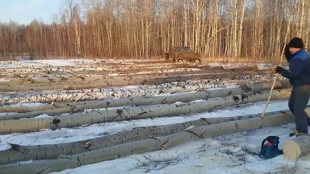Заготовка дров на ниве. Трелёвка смотреть онлайн