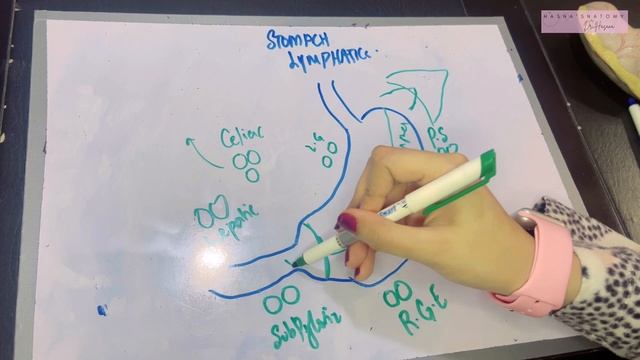 Lymphatics of Stomach Made EASY | Virchow’s Node Important Clinical смотреть онлайн