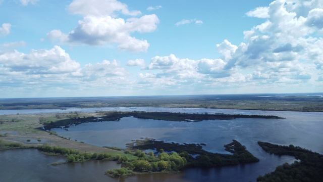 Артемовские луга весной. Саксофон. смотреть онлайн