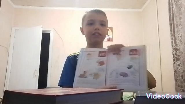 обзор на книги смотреть онлайн