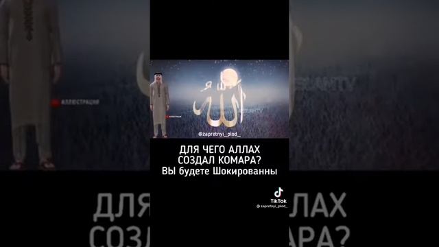 Мастерство в Дизайне