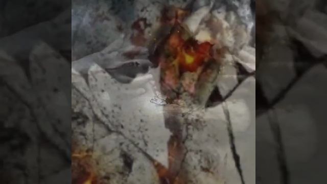 Судьба что выбираете то и получаете смотреть онлайн