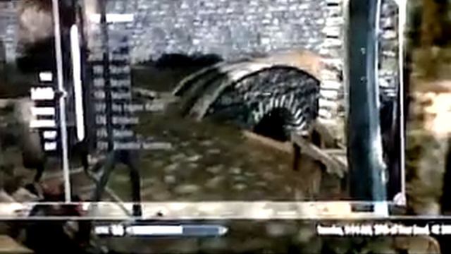 skyrim reset shops money смотреть онлайн