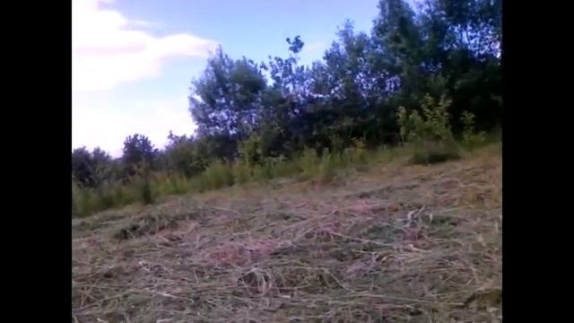 Участок эко в Карпатах в горных лесах 999 смотреть онлайн