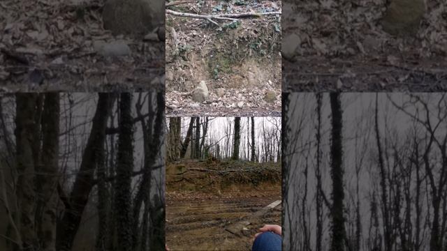 Звуки для засыпания Шаманская Музыка Для Медитации Шаманский Бубен Шаманский Транс. Горловое пение смотреть онлайн