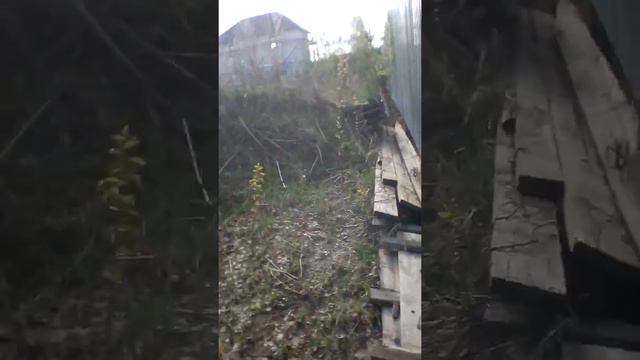 У бабушки на даче смотреть онлайн