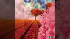 ?Целительная квантовая  матрица Гаряева от аритмии сердца ❤️