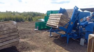 Механизированная уборка и первичная очистка чеснока, перед закладкой на сушку.