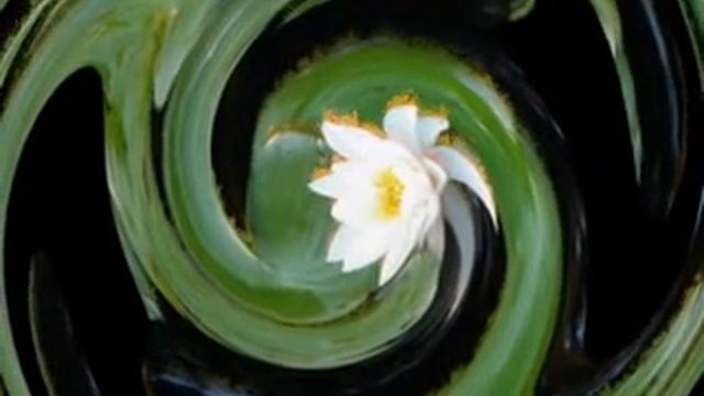 Созерцаю на лотос. Медитация. Йога. Музыка Индии. Lotus. Meditation. Yoga. Music of India. смотреть онлайн