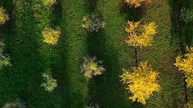 Преследователь из сна. Страшные. Мистические. Творческие рассказы. смотреть онлайн