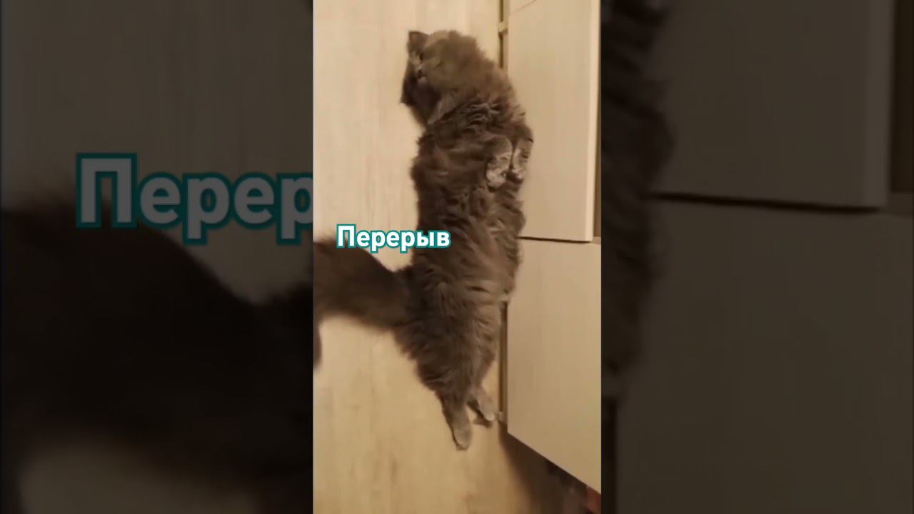 перерыв смотреть онлайн