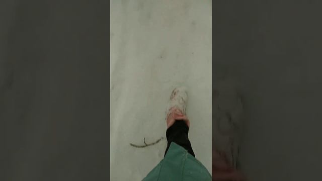 Здравствуй Зимушка-зима. смотреть онлайн