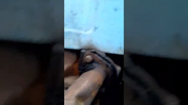 МТЗ 80 куда и сколько нужно заливать смотреть онлайн