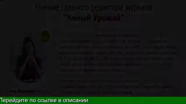 Где Купить Грибы Для Выращивания смотреть онлайн