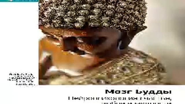 Рик Хансон Smart Reading 01 Мозг Будды Нейропсихология счастья, любви и мудрости смотреть онлайн