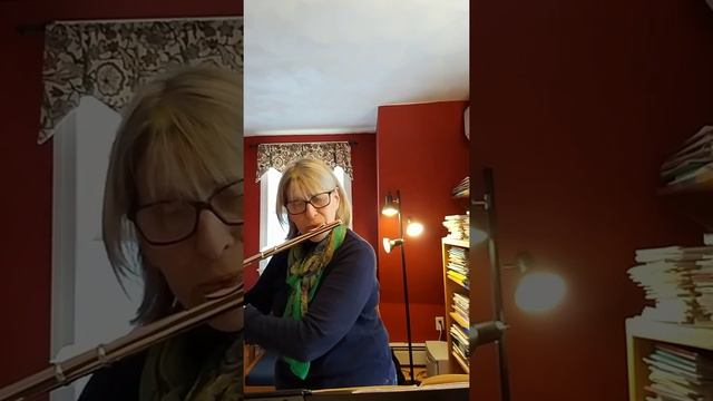 Berbiguier Etude #9 for flute alone смотреть онлайн