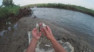 Шикарный улов на Кастинговую сеть! И удивительные места на р. Лаба!!!.mp4