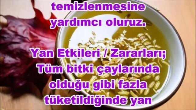Rezene Çayının Faydaları ve Kullanımı смотреть онлайн