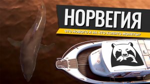 РУССКАЯ РЫБАЛКА 4 - Норвежское море, что нового и на что копить монеты?