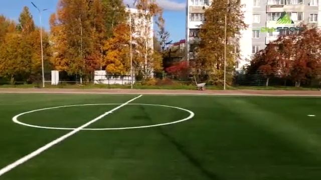 Футбольное поле с искусственным газоном DiaSport Fibra 20. Всеволожск, школа №3.