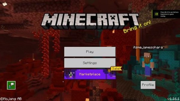 20 Minecraft Bedrock 1.16 Glitches Any Item Duplication,Xray & More MCPE,PS4,XBOX,Windows,Switch