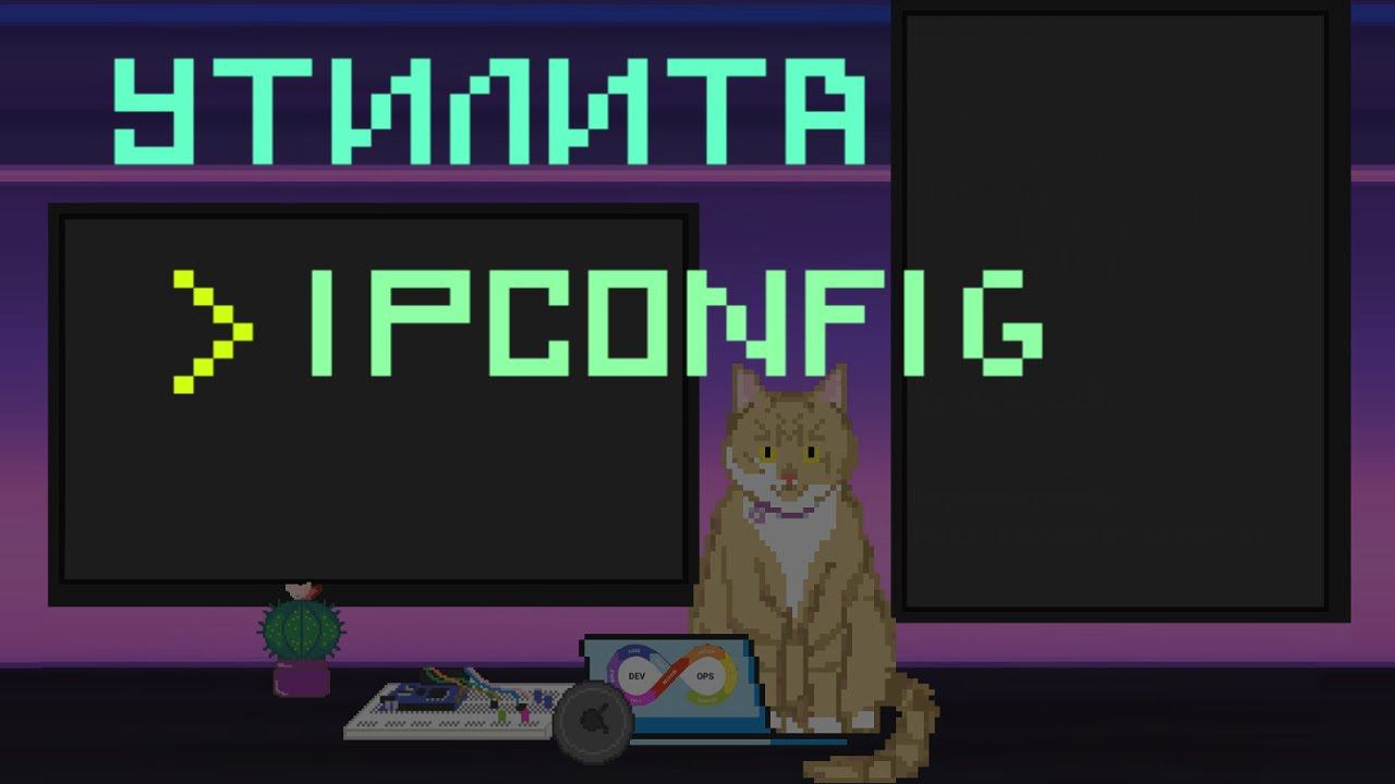 Утилита Ipconfig | Заметки оцифрованного кота