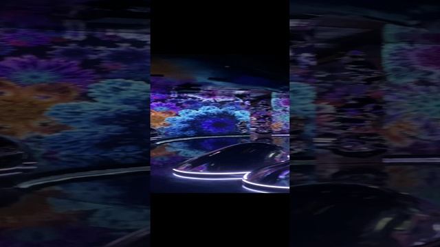 IMG_3965 смотреть онлайн