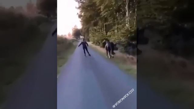 Дружба настоящая . смотреть онлайн