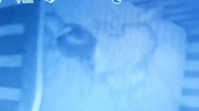 ТОП 5 НЕОБЪЯСНИМЫХ И МИСТИЧЕСКИХ ВИДЕО СНЯТЫХ НА КАМЕРУ. Часть 3. смотреть онлайн