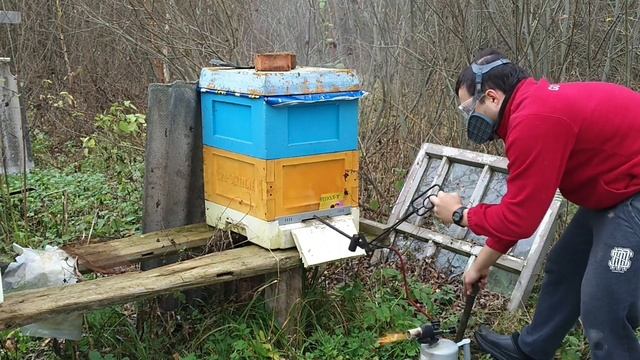 Обработка пчел от клеща осенью | Карамультук Башкирский смотреть онлайн