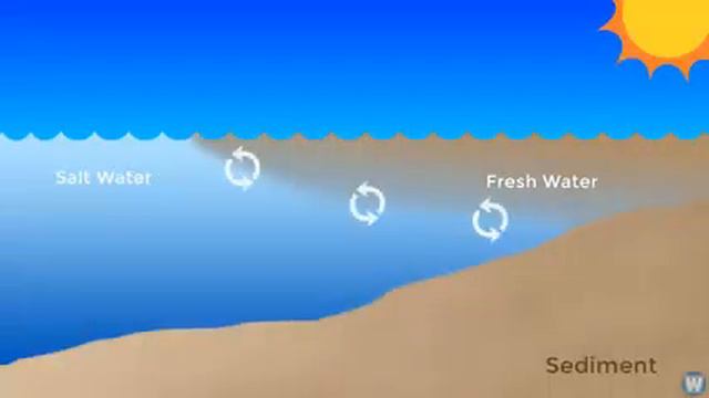 Fresh Water Meets Sea Water - Boundary Explained