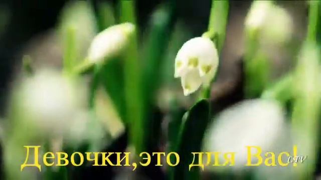 Вальс цветов.2019 смотреть онлайн