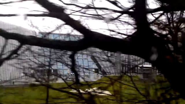 Спуск на трамвае с самой высокой точки Линца смотреть онлайн