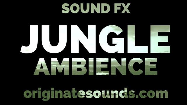 SOUND FX - JUNGLE AMBIENCE (High Quality) смотреть онлайн