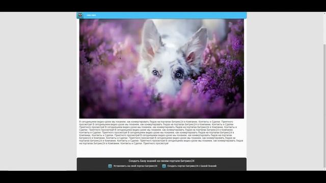 Как поделиться статьей Базы Знаний Битрикс24 IT Solution смотреть онлайн
