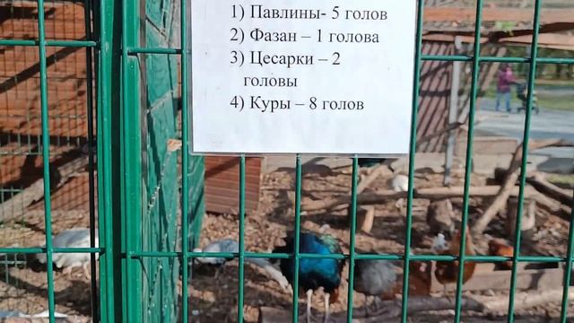 Павильон с птицами | Сквер на Олонецком проезде | Парк Яуза смотреть онлайн