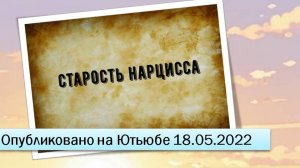 Старость нарцисса (18.05.2022)
