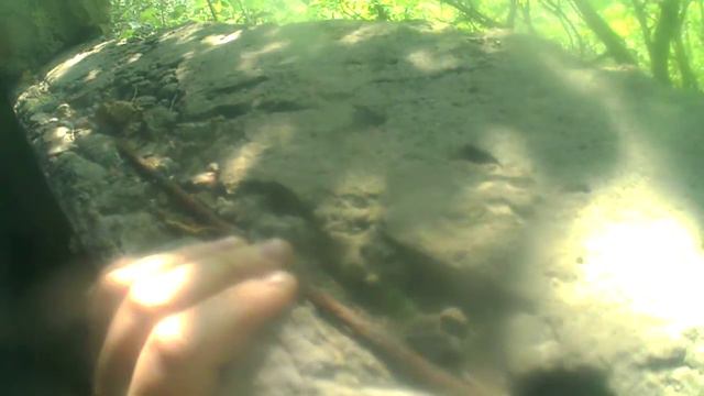 залез в заброшенный загон для скота смотреть онлайн