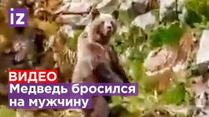 Жуткие кадры нападения медведя на человека в Красноярском крае / Известия