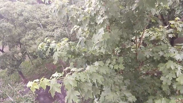 Любимое Подмосковье моё в июне,сейчас очень сильный ливень, гром и молния в нашем городе! смотреть онлайн