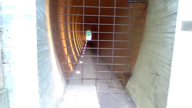 PRAHA NAHORU A DOLU.....