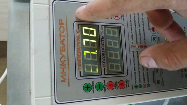 Отличный Инкубатор РЭМИЛ-270 делимся своим мнением. Инкубатор для своей мини фермы!