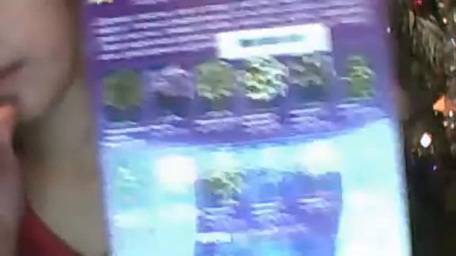 Дибилизм смотреть онлайн