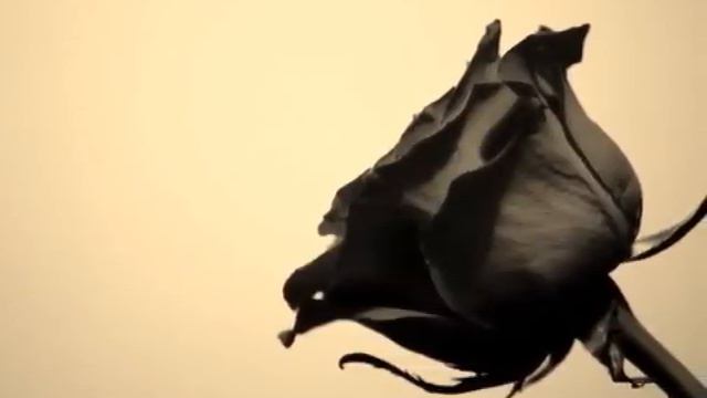 Peter Heppner - A Love Divine смотреть онлайн