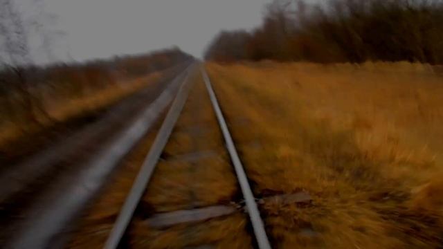 Покатушки на дрезине. Тёсовская УЖД. смотреть онлайн