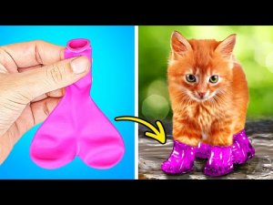 МИЛЫЕ ЛАЙФХАКИ ДЛЯ ДОМАШНИХ ЖИВОТНЫХ _ УМНЫЕ ГАДЖЕТЫ И ЗАБАВНЫЕ ПОДЕЛКИ.